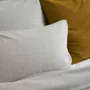 Linge de lit - Taie d'oreiller Céleste Nuts 65 x 65 - LA CERISE SUR LE GATEAU