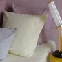 Bed linens - Céleste Pillowcase Vaniglia 70 X 50 - LA CERISE SUR LE GATEAU