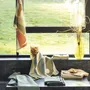 Dish towels - Recycled Tea Towel Revao Multico 50 X 70 - MAISON VIVARAISE - SDE VIVARAISE WINKLER