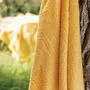 Serviettes de bain - Drap de bain uni Zoe Mimosa 100 x 180 - MAISON VIVARAISE - SDE VIVARAISE WINKLER