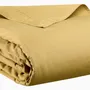 Bed linens - Calita Flat Sheet Gold 240 X 300 - MAISON VIVARAISE - SDE VIVARAISE WINKLER