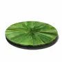Trays - Emerald Maize Revolving Tray - LADORADA