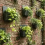 Window boxes - Square natural slate wall planter, 25/25/12.5 cm, CLASSIC - ARDOISE DESIGN