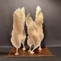 Sculptures, statuettes et miniatures - "Mouvement" - AGNÈS K. SCULPTURE SUR BOIS