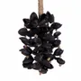 Objets de décoration - Le Gland En Coquillages Midnight - Noir - BAZAR BIZAR LIVING