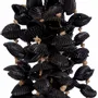 Objets de décoration - Le Gland En Coquillages Midnight - Noir - BAZAR BIZAR LIVING