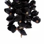 Objets de décoration - Le Gland En Coquillages Midnight - Noir - BAZAR BIZAR LIVING