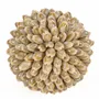 Objets de décoration - La Oluolu Shell Balle - M - BAZAR BIZAR LIVING