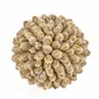 Objets de décoration - La Oluolu Shell Balle - S - BAZAR BIZAR LIVING