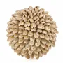 Objets de décoration - La Oluolu Shell Balle - S - BAZAR BIZAR LIVING