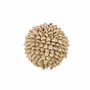 Objets de décoration - La Oluolu Shell Balle - S - BAZAR BIZAR LIVING