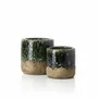 Flower pots - The Moss Planter - Concrete Green - M - BAZAR BIZAR LIVING