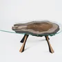 Design objects - Beetle coffee table - HERON DESIGN