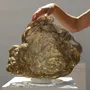 Unique pieces - Concretion 1 - SYLVIE CAPELLINO