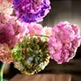 Floral decoration - Hydrangeas as if freshly picked - SILK-KA BV