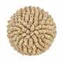 Objets de décoration - La Oluolu Shell Balle - L - BAZAR BIZAR LIVING