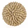 Objets de décoration - La Oluolu Shell Balle - L - BAZAR BIZAR LIVING