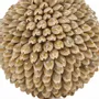 Objets de décoration - La Oluolu Shell Balle - L - BAZAR BIZAR LIVING