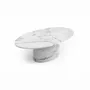 Coffee tables - Valleyra - Coffee tables - Statuario Michelangelo Carrara marble - 120X70X40 cm - STONE VALLEY