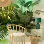 Decorative objects - Río Tropical - J-LINE BY JOLIPA