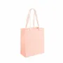 Gifts - Pale pink matte paper bags, ribbon handles, 16 x 8 x H 19cm, 190g (x12) - LAVAL 1878