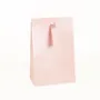 Gifts - Light pink iridescent paper bags with ribbon - LAVAL 1878