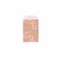 Cadeaux - Sachets cadeau vieux rose mat à motif nature - LAVAL 1878