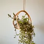 Floral decoration - Enoki Natural Rattan Hanging Planter - LO-FI HOUSE