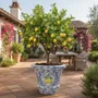 Decorative objects - Lemon ceramic pot - GUADARTE