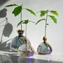 Vases - Acorn Vase - ILEX STUDIO