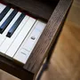 Pianos - Kiyola KF-25 - ROLAND