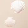 Objets de décoration - CALYPSO (Coquille) - MONOCHROMIC CERAMIC