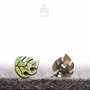 Jewelry - Monstera Stud Earrings - Funny Plant Lover Gift for Mothers Day or Birthday - Monstera Deliciosa - PINTONIK