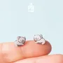 Jewelry - Tiny Koala Stud Earrings - Cute Animal Jewelry - Gift for Koala Bear Lovers - PINTONIK