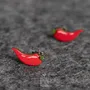 Jewelry - Hot Chili Pepper Earrings - Funny Red Chili Stud Earrings - Weird 30th Birthday Gift - PINTONIK