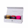 Bougies - Coffret Bougies parfumées  COOLEST CITIES| ARTITUDE HOME - ARTITUDE HOME
