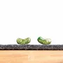 Jewelry - Pickle Jewelry - Pickles Stud Earrings - Funny Food Earrings - PINTONIK