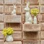 Decorative objects - Balade En Provence - J-LINE BY JOLIPA
