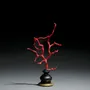 Decorative objects - Coral on a base - cabinet of curiosities - METAMORPHOSES