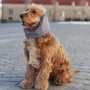 Pet accessories - Dog Snood - WATERPROOF - LOU AND CO
