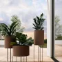 Pots de fleurs - CLORI_2, the planter - PIPEDESIGN PURESHAPE