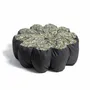 Poufs - SUNNY FLOWER | Pouf d'extérieur | 80 x h30 cm - COZIP