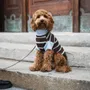 Pet accessories - DOG SWEATER - LOU AND CO