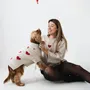 Pet accessories - DOG SWEATER - LOU AND CO