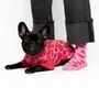 Pet accessories - DOG SWEATER - LOU AND CO