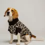 Pet accessories - DOG SWEATER - LOU AND CO