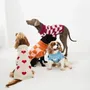 Pet accessories - DOG SWEATER - LOU AND CO