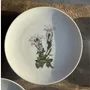 Formal plates - Set of 5 flower pattern dessert plates Germany Bavaria D19 - OFFICE OBJETS