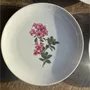 Formal plates - Set of 5 flower pattern dessert plates Germany Bavaria D19 - OFFICE OBJETS