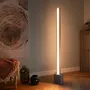 Floor lamps - Wood & Concrete Floor Lamp with dimmable, color adjustable LED light - NORRSKEN LIGHTING GMBH